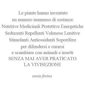 LA VERA INTELLIGENZA