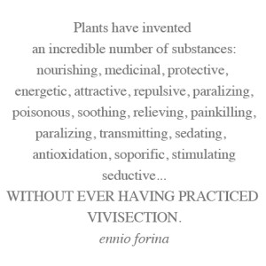 Plants invented
