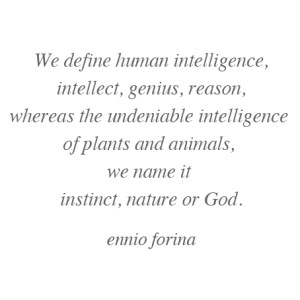 The name of intelligence