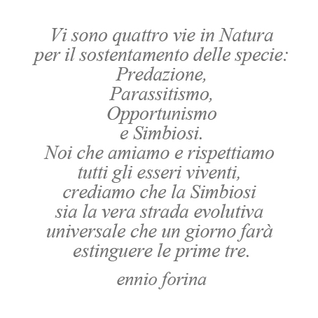 Le 4 Vi della Natura.jpg