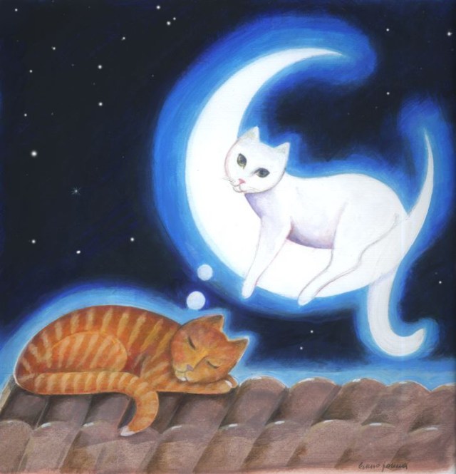 Cat on the moonn.jpg