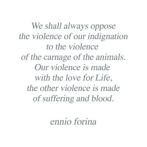 Every Bloody Day.jpg