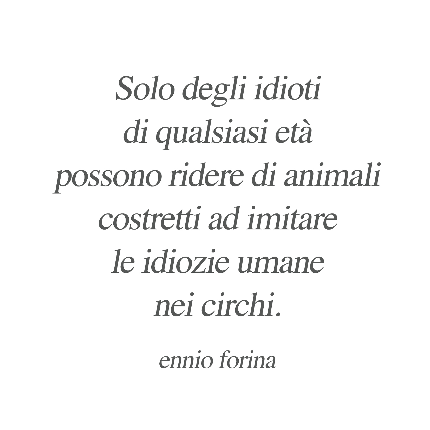 Stultitia Ridens.jpg