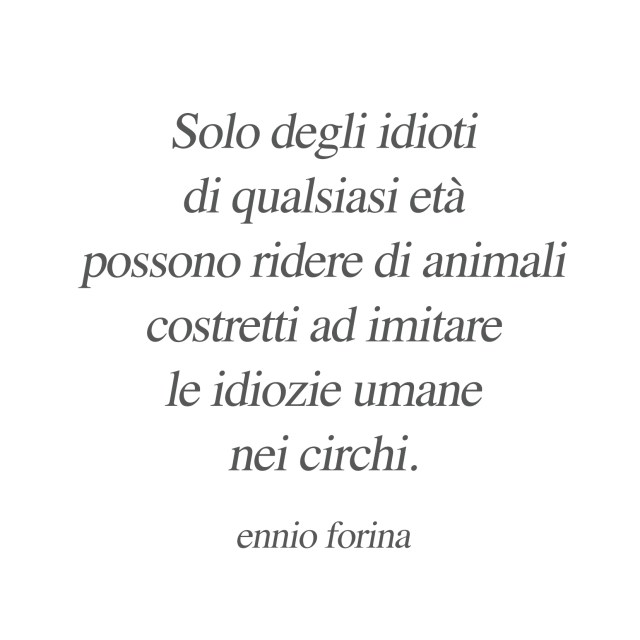 Stultitia Ridens.jpg