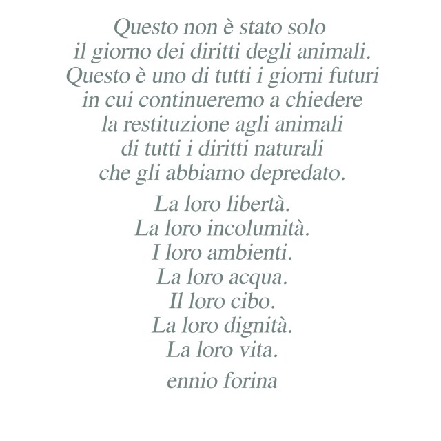 Diritti degli animali