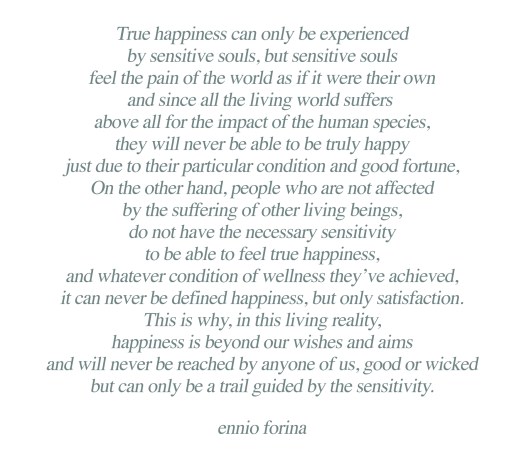 Happiness Catch 22.jpg