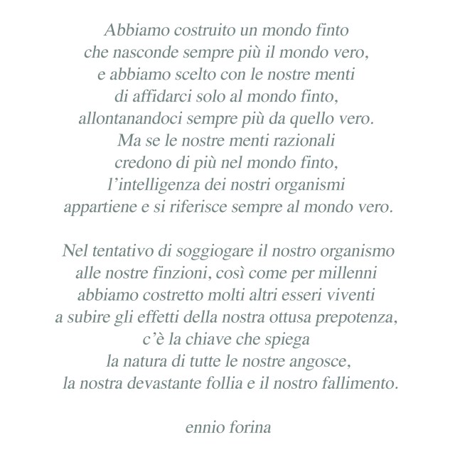 Mondi finti e veri.jpg