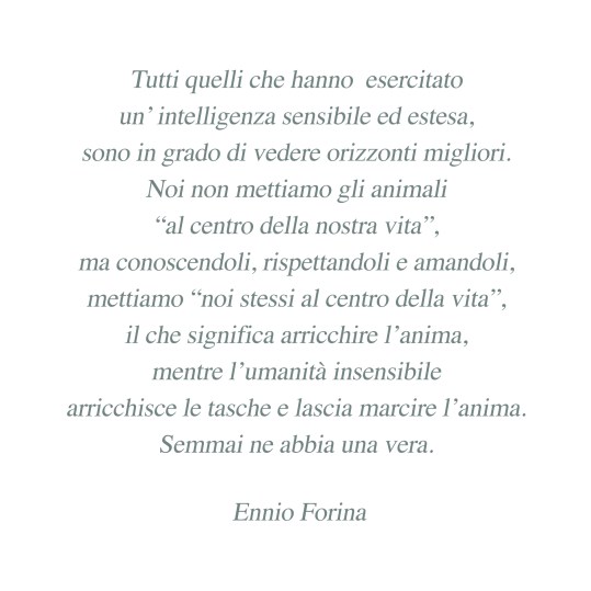 Il Centro della Vita.jpg