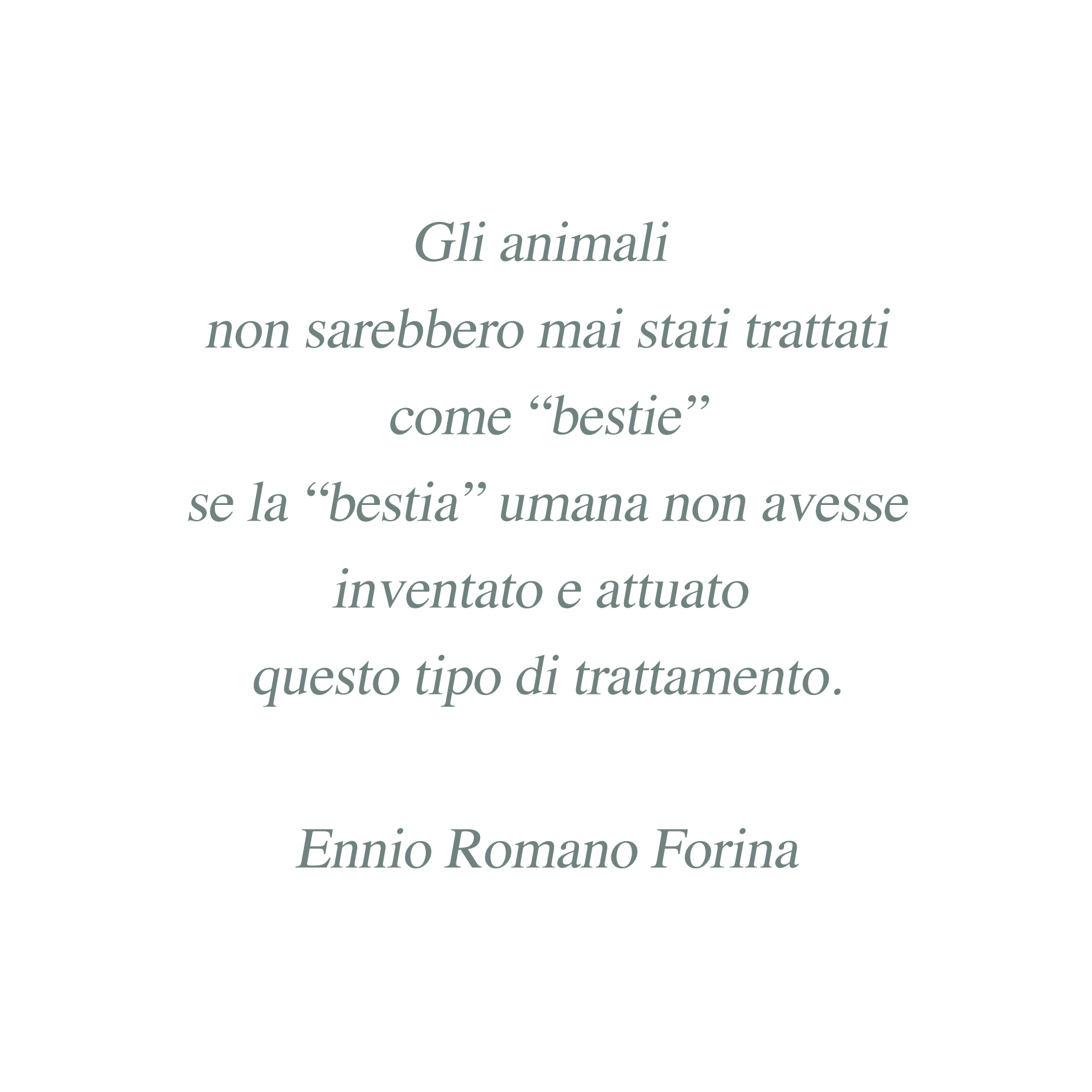 Trattati come bestie.jpg